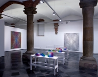 16_031de-hallen-superficial-2014-phgjvanrooij.jpg