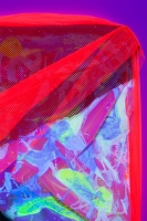 16_clup3.jpg