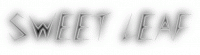 16_cooltext217124923459276.gif