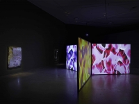 16_florian-michael-quistrebertvoid-fires-2015close-up-a-new-generation-of-film-and-video-artists-in-the-netherlands-2015-eye-filmmuseumcf005580.jpg